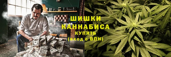 шишки Алексин
