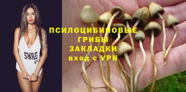 шишки Алексин