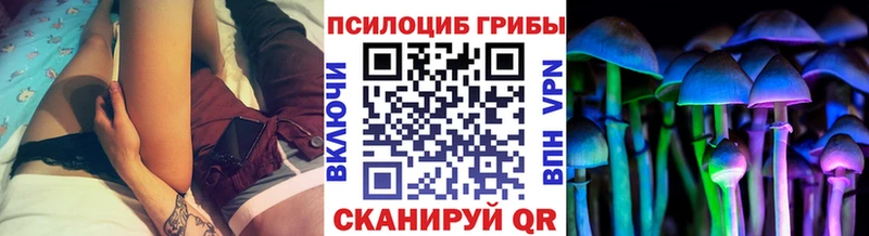 Псилоцибиновые грибы Cubensis  Купить закладки  Муравленко 